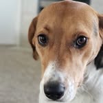 Tucker Deines - @deinestucker - Instagram