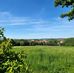 Ines Unger - Facebook