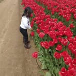 Ines Vasquez - @ines.vasquez.3557440 - Instagram
