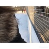 Ines Wagner - @ines_wagner - TikTok