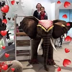 Ines Walter-von Dürckheim - @waltervondurckheim - Instagram
