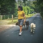 HUNDherum mit Verstand&Gefühl - @hundetraining.ines_weiss - Instagram
