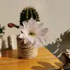 ineswerner75 - @ineswerner75 - TikTok