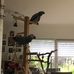 Ines Wetzel - Facebook