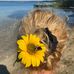 Ines Wilhelm - Facebook