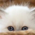 Ines Wolf - @ines.wolf.37266 - Instagram