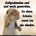 Ines Wolff - @ines.wolff.79 - Instagram