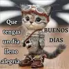 ineszamora308 - @ineszamora308 - TikTok