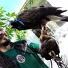 Abraham Martiinez - @abraham.martiinez0 - TikTok