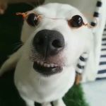 abraham ortinez moreno - @abraham_ortinez - Instagram