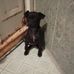 Ines Alvarez - Facebook