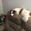 Inez Alvarez - @inez.alvarez5 - TikTok