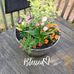 Inez Bennett - Facebook