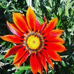 Ines  Berry - @ines.berry.79 - Instagram