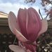 Inez Bowen - Facebook