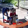 inezcastillo12 - @inezcastillo12 - TikTok