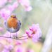 Ines Cornelio - Facebook