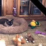 Inez Cunningham - @cunningssf - Instagram