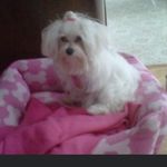 Inez Delgado - @tiejoypar - Instagram