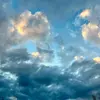 Inez.estrada - @inez.estrada - TikTok