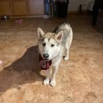 Amina inez fry - @aminainezfry - Instagram