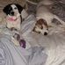 Inez Gates - Facebook