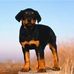 Inez Hunter - Facebook