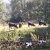 Inez Jarvis - Facebook