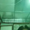 inezjarvi21 - @inezjarvi21 - TikTok