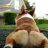 Inez Jordan King - @inez.jordan.king - TikTok