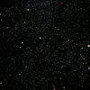 yarinezleonamaru - @yarinez123 - TikTok