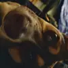 Maddox Martinez - @maddox.martinez - TikTok