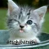 Ines Marks  - @fam.marks - TikTok
