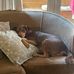 Inez Mayer - Facebook