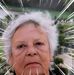 Inez Meyer - Facebook
