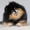 user3467758696292 - @inez856.juliette-nancee - TikTok