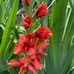 Inez Stewart Patrick - Facebook