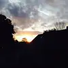Inez Phillips - @phillipsinez54321 - TikTok