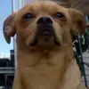 inezphillips72 - @inezphillips72 - TikTok