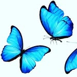 Inez.phillips.925 - @inez.phillips.9 - Instagram