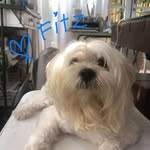 Inez Rivera Noval - @inez.r.noval - Instagram