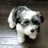 inezrivera70 - @inezrivera70 - TikTok