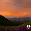 Inez Rowe - @inez.rowe3 - TikTok