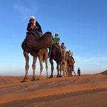 Ines Schultz - @ines.schultz.7 - Instagram