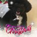 Inez Simmons - Facebook