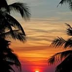 Inez Turner - Facebook