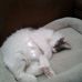 Inez Weaver - Facebook