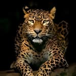 @motivationgalaxy__ support - @infinity__king______ - Instagram