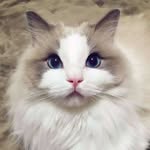 Ing Tang - @ing.tang.39 - Instagram