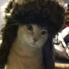 Inga Robinson - @inga.robinson22 - TikTok